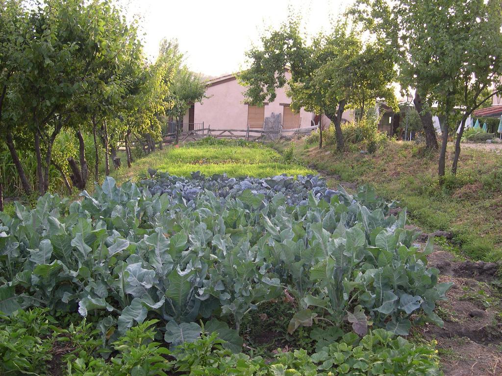 Готель La Huerta De San Lorenzo Сеговія Екстер'єр фото